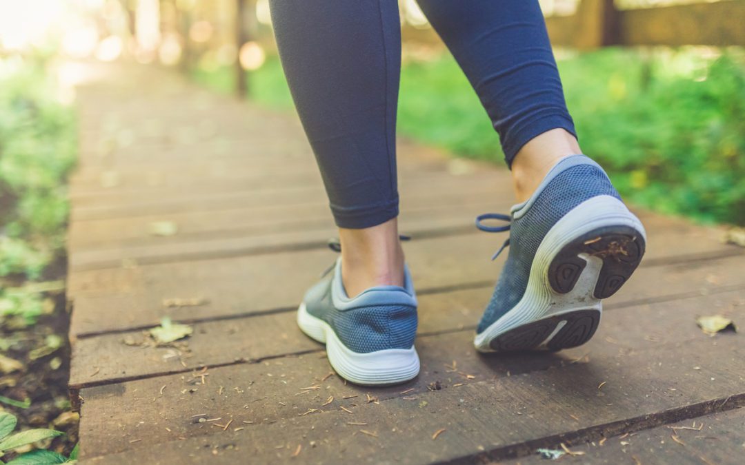 Sleep, Exercise, Nutrition
